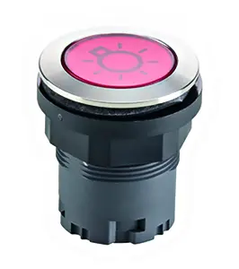 Round Illuminated Pushbutton IP67 Stainless Steel 22.3 mm Cutouts