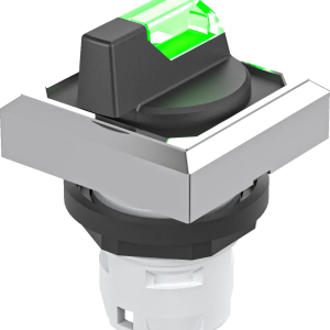 OKSTBL_KL Illuminated Selector Head IP65 16.2 mm 2 pos front seal