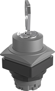 QRJSSA27E Key Switch Head Momentary IP65 26 x26mm charcoal square QRJSSA27E Product Image