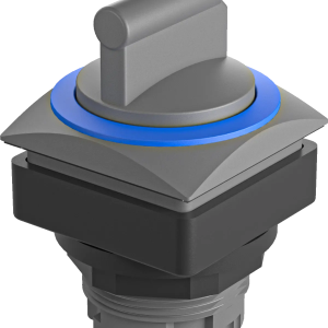 QRJSTBBL Selector Switch Head Blue IP65 Momentary Class II Square