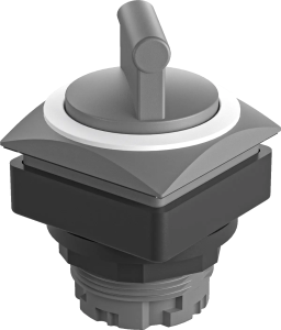 QRJWAWS Selector Switch Head IP65 Class II Maintained 2 Positions QRJWAWS Product Image