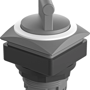 QRJWAWS Selector Switch Head IP65 Class II Maintained 2 Positions