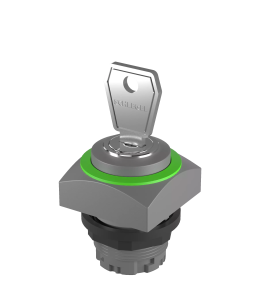 QRSSA13E_RGN Key Switch Head IP65 maintained dual position 22.3mm QRSSA13E_RGN Product Image