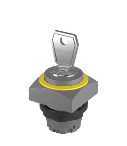 QRSSA14E_RGB Key Switch Head Maint IP65 front Square Bezel 22.3mm QRSSA14E_RGB Product Image