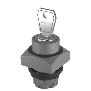 QRSSA23E_RSW Key Switch Head momentary IP65 square 22.3 mm cutout