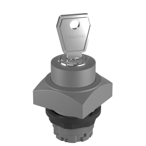 QRSSA27E Key Switch Head Momentary square IP65 22 mm cutout 2 pos