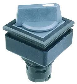 QXJSTBDG 2 Pos Selector Switch Head IP65 momentary Class II 24x24 QXJSTBDG Product Image