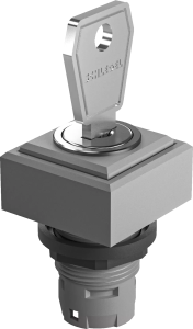 Key & Selector Switches secure key control UKCA compliant durable QXSSDGA15E Product Image