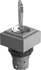 QXSSDGA18E QUARTRON Grey Key Switch Head IP65 Rated QXSSDGA18E Product Image