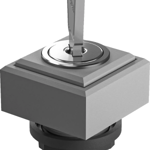 QXSSDGA18E QUARTRON Grey Key Switch Head IP65 Rated QXSSDGA18E Product Image