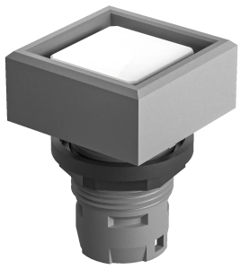 Square illuminated pushbutton switch IP65 16.2 mm cutout Class II QXTDG Product Image