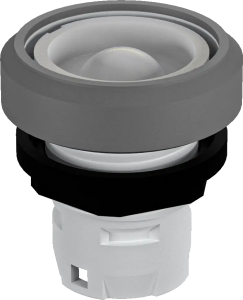 RKN OKTRON-R Illuminated Pilot Light Head for Panels RKN Product Image