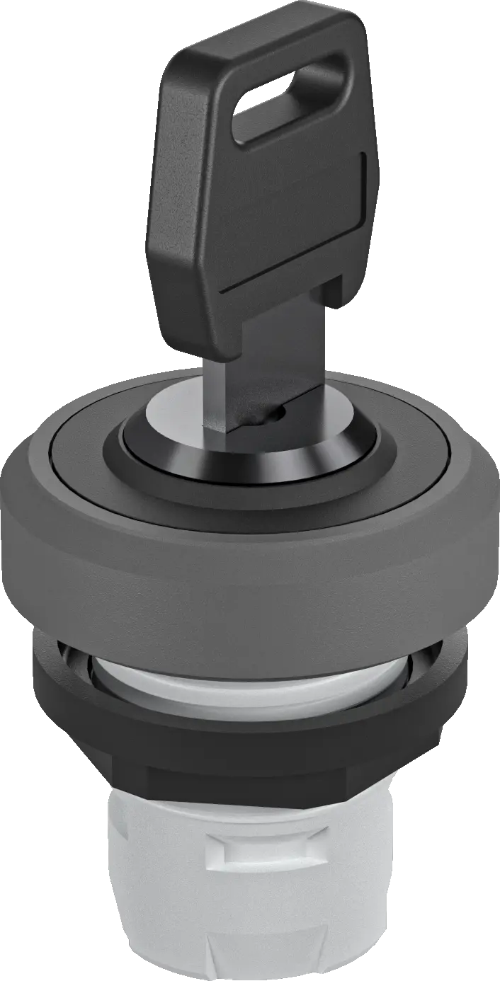RKSSA13 OKTRON-R Maintained Key Switch, IP65, UL Certified