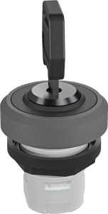 Key & Selector Switches UR certified sealed panel key switch lock RKSSA17 Product Image