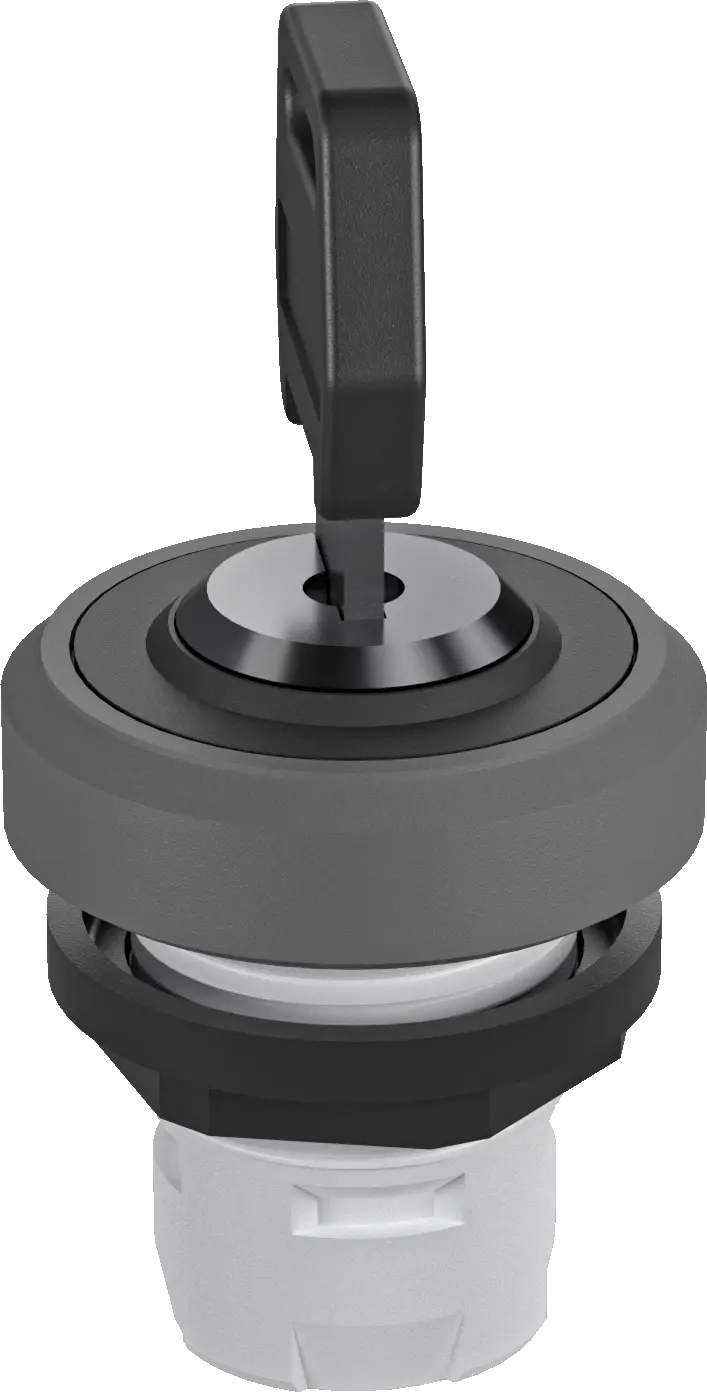 RKSSA18 OKTRON-R Grey Key Switch Head IP65 Rated