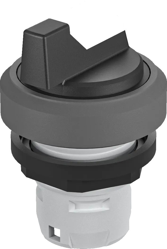 RKSTBL_KL Illuminated Selector Head IP65 16.2mm 2 Position Switch