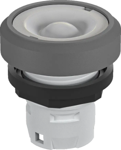 RKT OKTRON-R Illuminated Momentary Pushbutton IP65 RKT Product Image