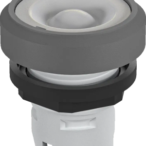 RKT OKTRON-R Illuminated Momentary Pushbutton IP65 RKT Product Image