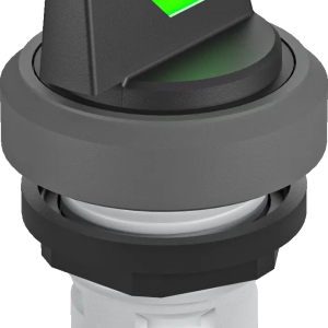 RKWBL_GN Illuminated Selector Head Green Maintained IP65 Class II