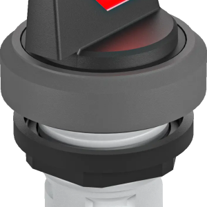 RKWBL_RT Illuminated Selector Head IP65 16mm Latching Red 2 state