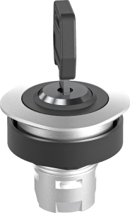 RQJSSA17 Key Switch Head UKCA rugged sealed panel mount switch IP RQJSSA17 Product Image