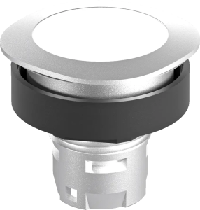 RQJT Illuminated Silver Pushbutton Head for Industrial Use RQJT Product Image