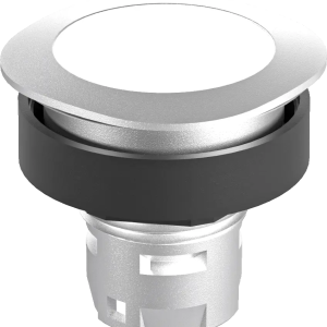 RQJT Illuminated Silver Pushbutton Head for Industrial Use RQJT Product Image