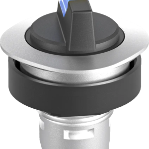 RQJWAL_BL Illuminated Selector Head IP65 Blue 22 mm Latching Type