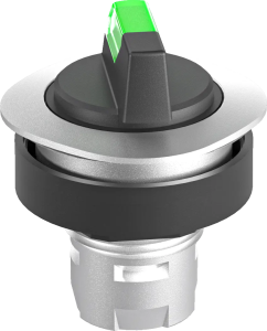 RQJWAL_GN Illuminated Selector Head green IP65 maintained two pos RQJWAL_GN Product Image