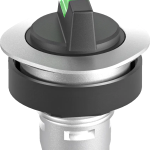 RQJWAL_GN Illuminated Selector Head green IP65 maintained two pos
