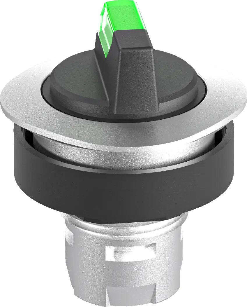 RQJWAL_GN Illuminated Selector Head green IP65 maintained two pos