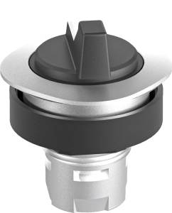 RQJWAL_KL illuminated selector switch head IP65 maintained 22.3mm RQJWAL_KL Product Image