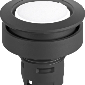 RRJNSW RONTRON-R-JUWEL Pilot Light Head, IP65, UL Certified RRJNSW Product Image