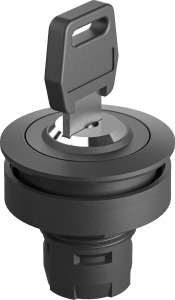 RRJSSA14SW RONTRON-R-JUWEL Key Switch Head IP65 RRJSSA14SW Product Image