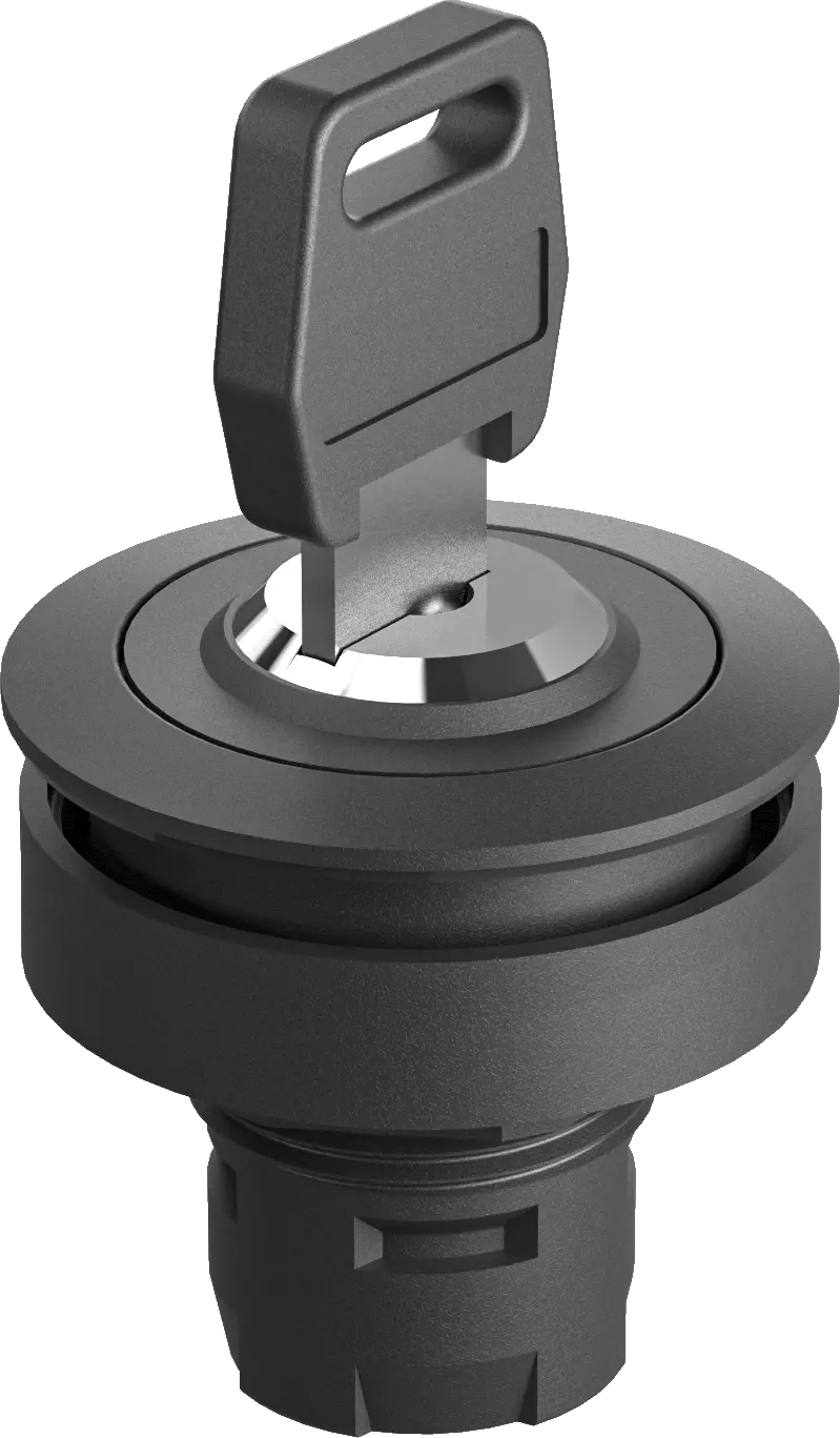 RRJSSA15SW RONTRON-R-JUWEL key switch head UKCA for control panel