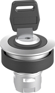 RRJSSA17 RONTRON-R-JUWEL Key Switch Head IP65 UL Certified RRJSSA17 Product Image