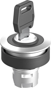 RRJSSA25 RONTRON-R-JUWEL Key Switch Head IP65 UL Certified RRJSSA25 Product Image