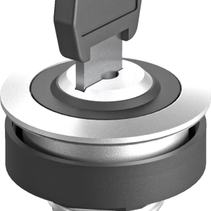 RRJSSA28 RONTRON-R-JUWEL Key Switch Head, IP65, UL Certified RRJSSA28 Product Image