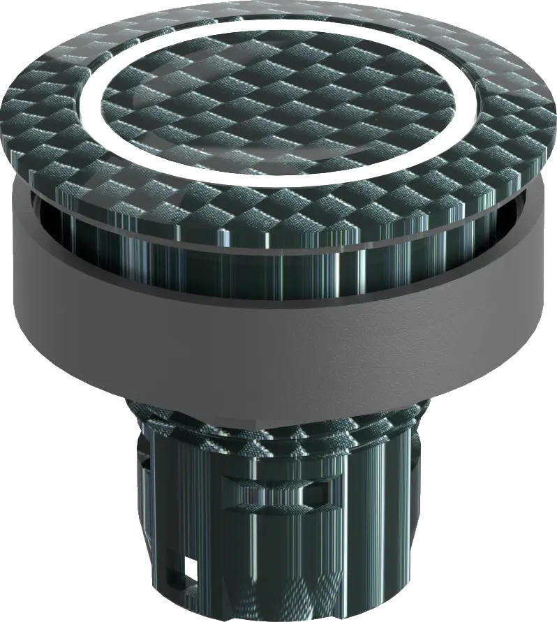 RRJTLRE02 Lighted Pushbutton Head IP69K Bright LED 22.3 mm Cutout