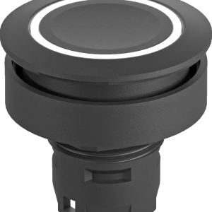 RRJTLRSW Illuminated Pushbutton Head for Industrial Use RRJTLRSW Product Image