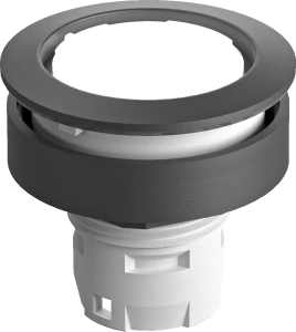 RRJTSW Illuminated Black Pushbutton Head for Panels RRJTSW Product Image