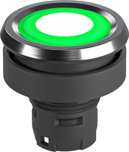 RRJVAFTGN_1157 Pushbutton Head IP69K illuminated round white UKCA RRJVAFTGN_1157 Product Image