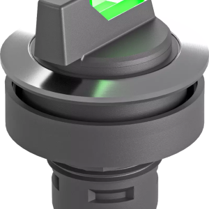 RRJVASTAL_GN Green Illuminated Selector Switch, IP65 RRJVASTAL_GN Product Image