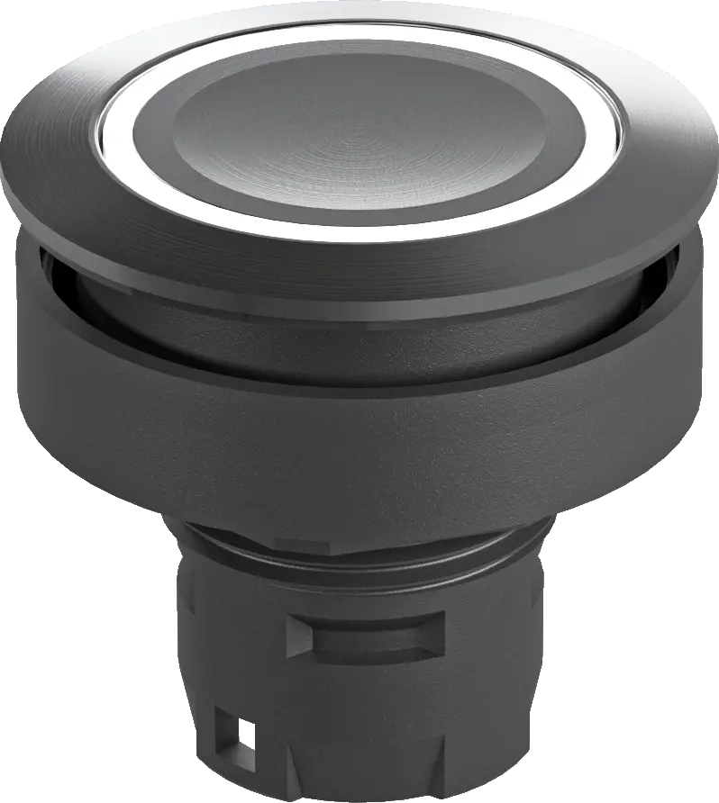 RRJVATLR Illuminated Metal Pushbutton IP69K Class II