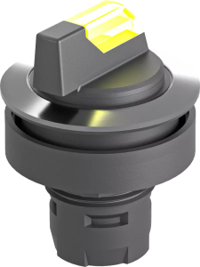 RRJVAWCL_GB Illuminated Selector Switch, IP65, LED RRJVAWCL_GB Product Image