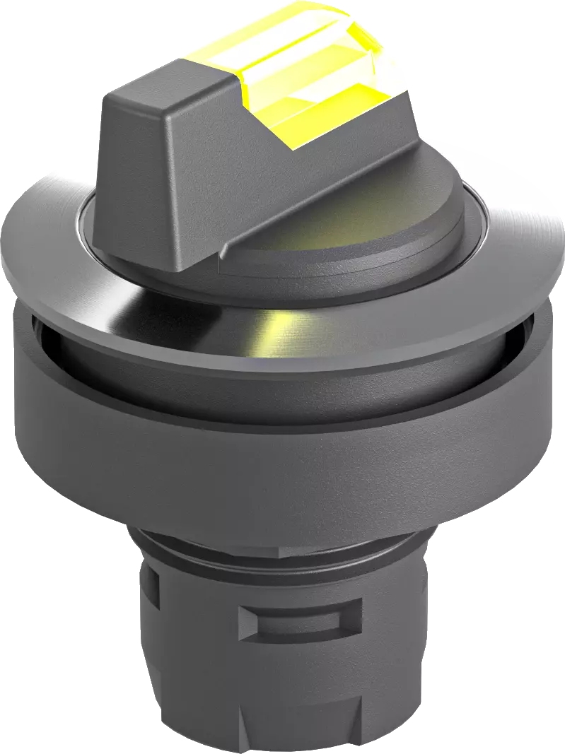 RRJVAWCL_GB Illuminated Selector Switch, IP65, LED