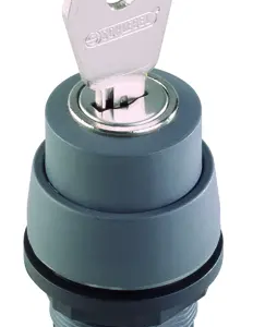 RSSA27E RONDEX Charcoal Key Switch Head, IP65 Rated