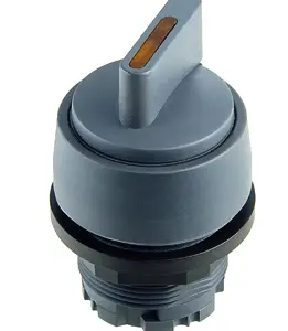RWBL RONDEX Illuminated Selector Switch for Industrial Use