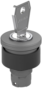 RXJSSA12E Grey IP65 Key Switch Head for Industrial Use RXJSSA12E Product Image