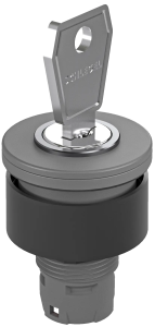 RXJSSA15E Grey Maintained Key Switch Head, IP65, 22.3mm RXJSSA15E Product Image